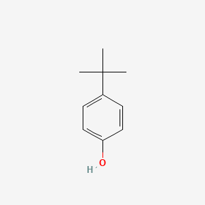 4- tert-butylphenol 丨 CAS 98-54-4