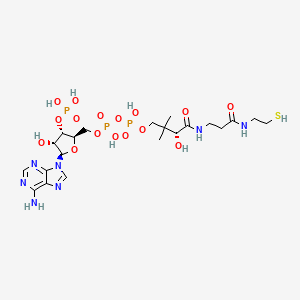 Coenzyme a 丨 Cas 85-61-0